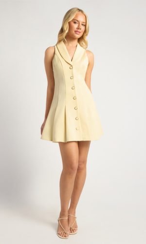 Lior Mini Dress